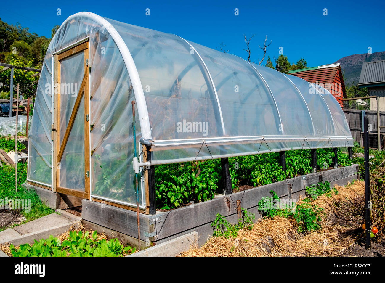 An agricultural hot house hoop tunnel built from recycled fish farm tubing, with adjustable roll up side flaps to allow air flow for ventilation. Stock Photo