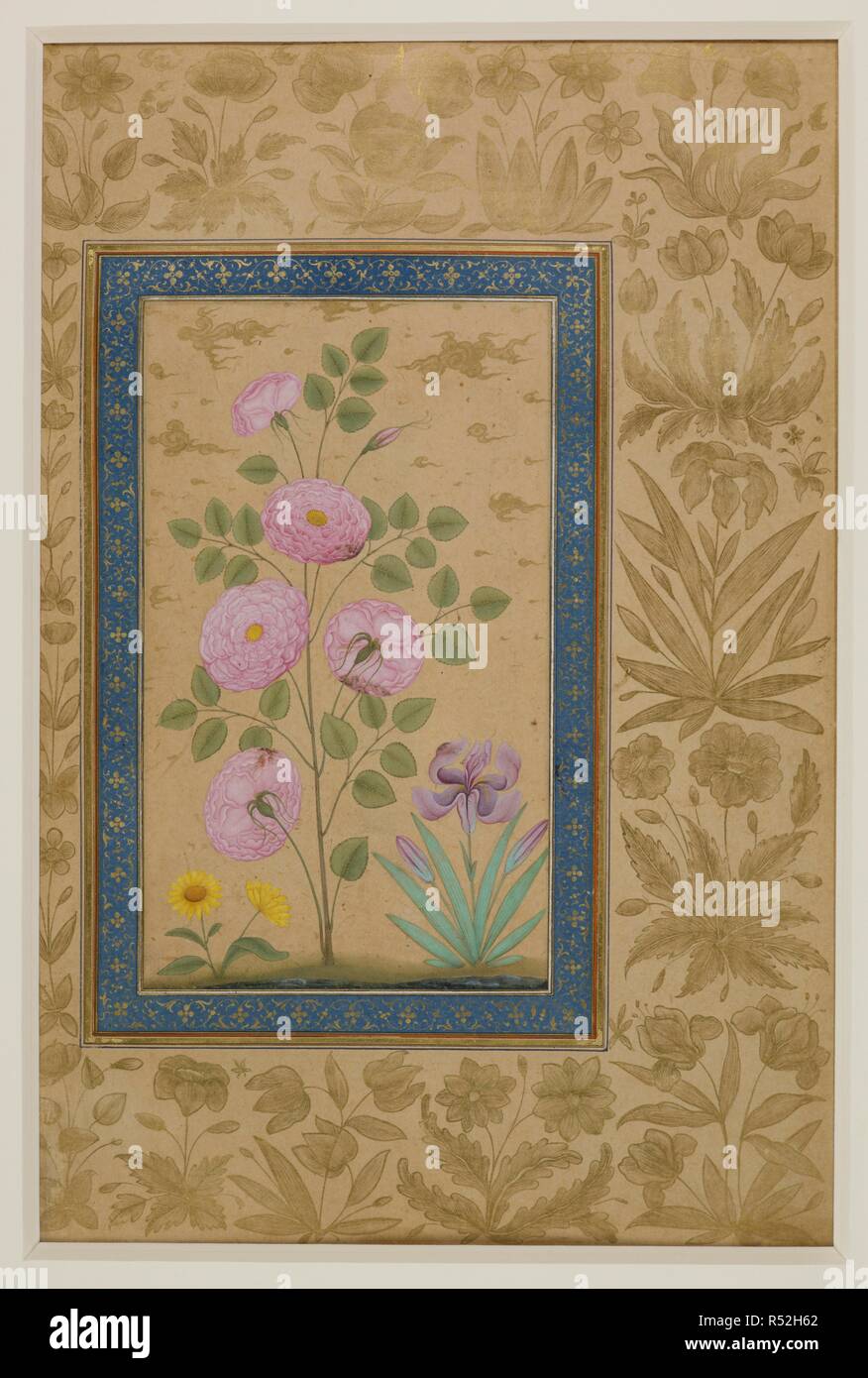 Rose, iris and daisy. Dara Shikoh. 1630-1640. A pink rose, a blue iris and a yellow daisy, growing beside water; gold clouds at top. Opaque watercolour with gold, background not coloured.  Image taken from Dara Shikoh.  Originally published/produced in 1630-1640. . Source: Add.Or.3129, f.63v. Stock Photo