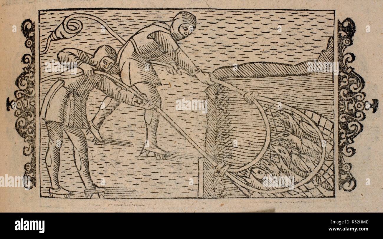 Two men catching fish in a net. Historia de gentibus Septentrionalibus, earumque diversis statibus, conditionibus, moribus, etc. RomÃ¦ : J. M. de Viottis, 1555. Source: 432.k.18. Stock Photo