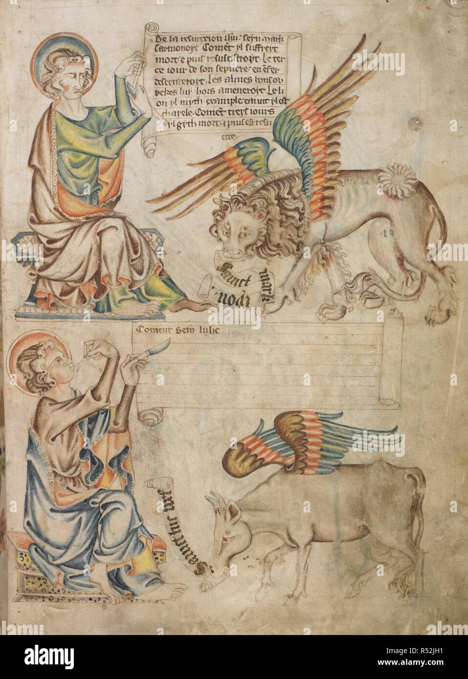 St Mark writing on a scroll with a winged lion holding a small scroll; St Luke starting to write on a scroll, with a winged bull holding a small scroll. Holkham Bible Picture Book. England, circa 1320-1330. Source: Add. 47682, f.11. Stock Photo