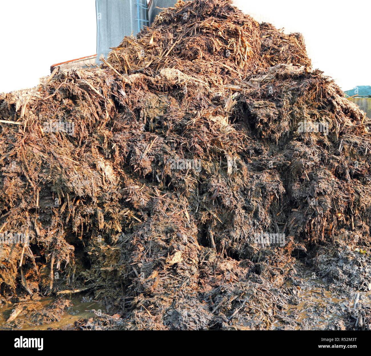 images Smelly Compost Pile https www alamy com heap of smelly manure to spread on the field to make it very fertile image226867756 html