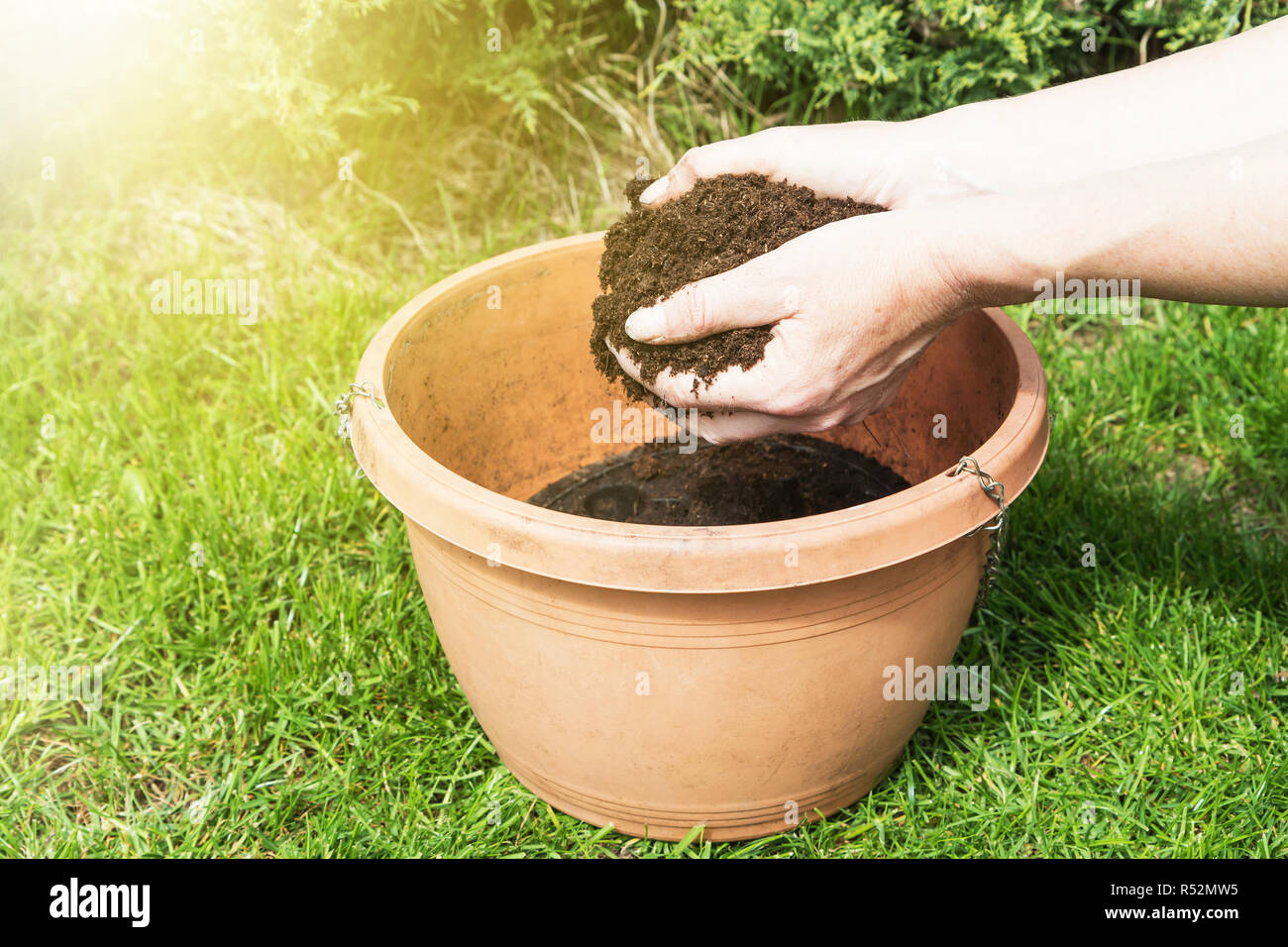 Gardening putting soil into a flower pot Stock Photo Alamy