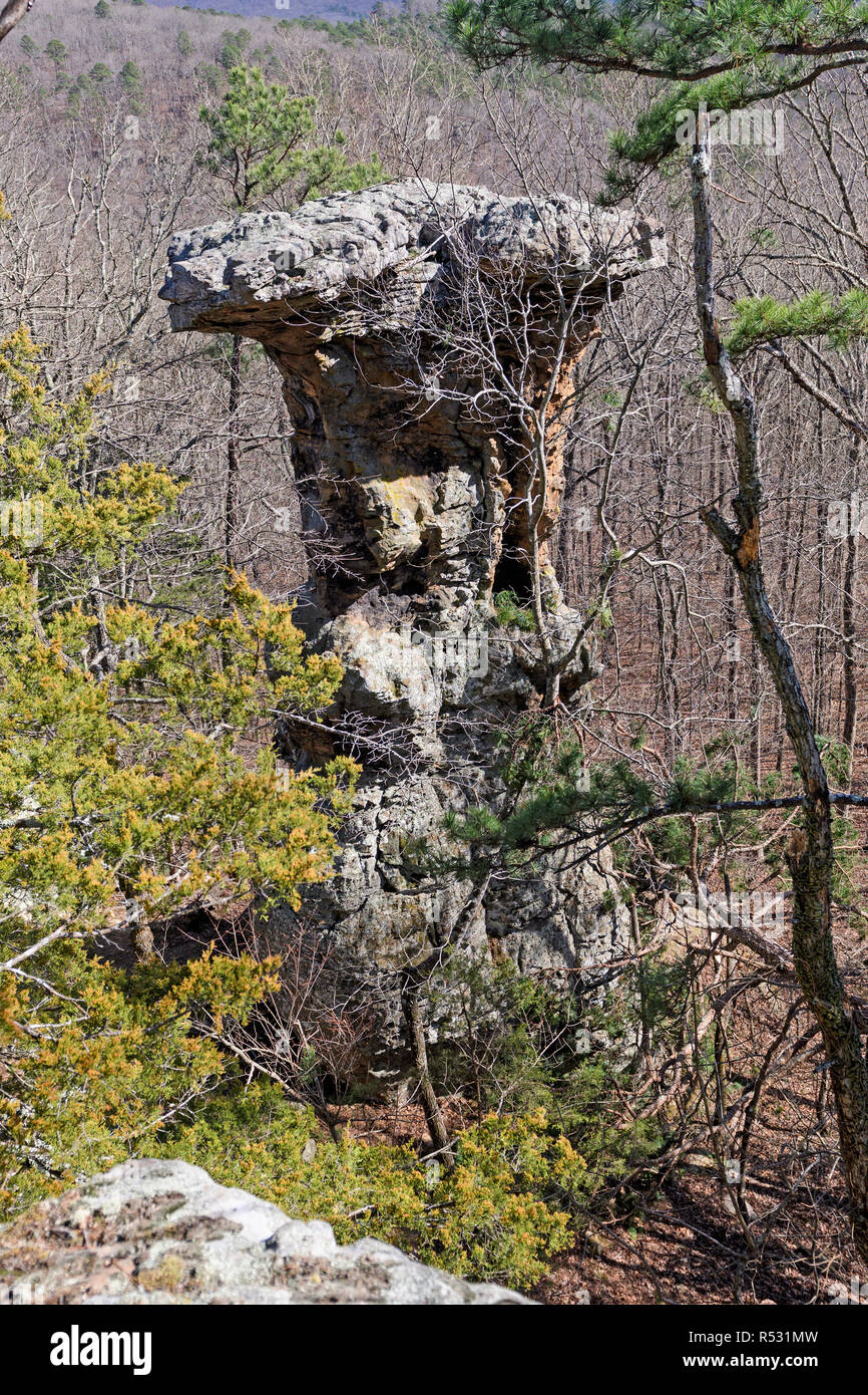 Pedestal Rock in the Forest Stock Photo Alamy