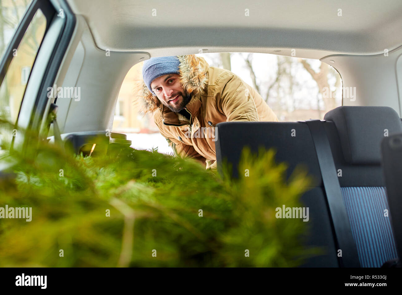 Bearded man unloading christmas tree out of trunk of his car, inside view. Hipster gets fir tree from the back of his hatchback. Convertible auto interior with practical folding seats for boot space. Stock Photo