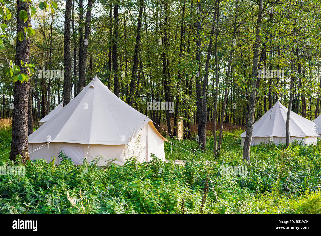 Group of glamping bell tents Stock Photo