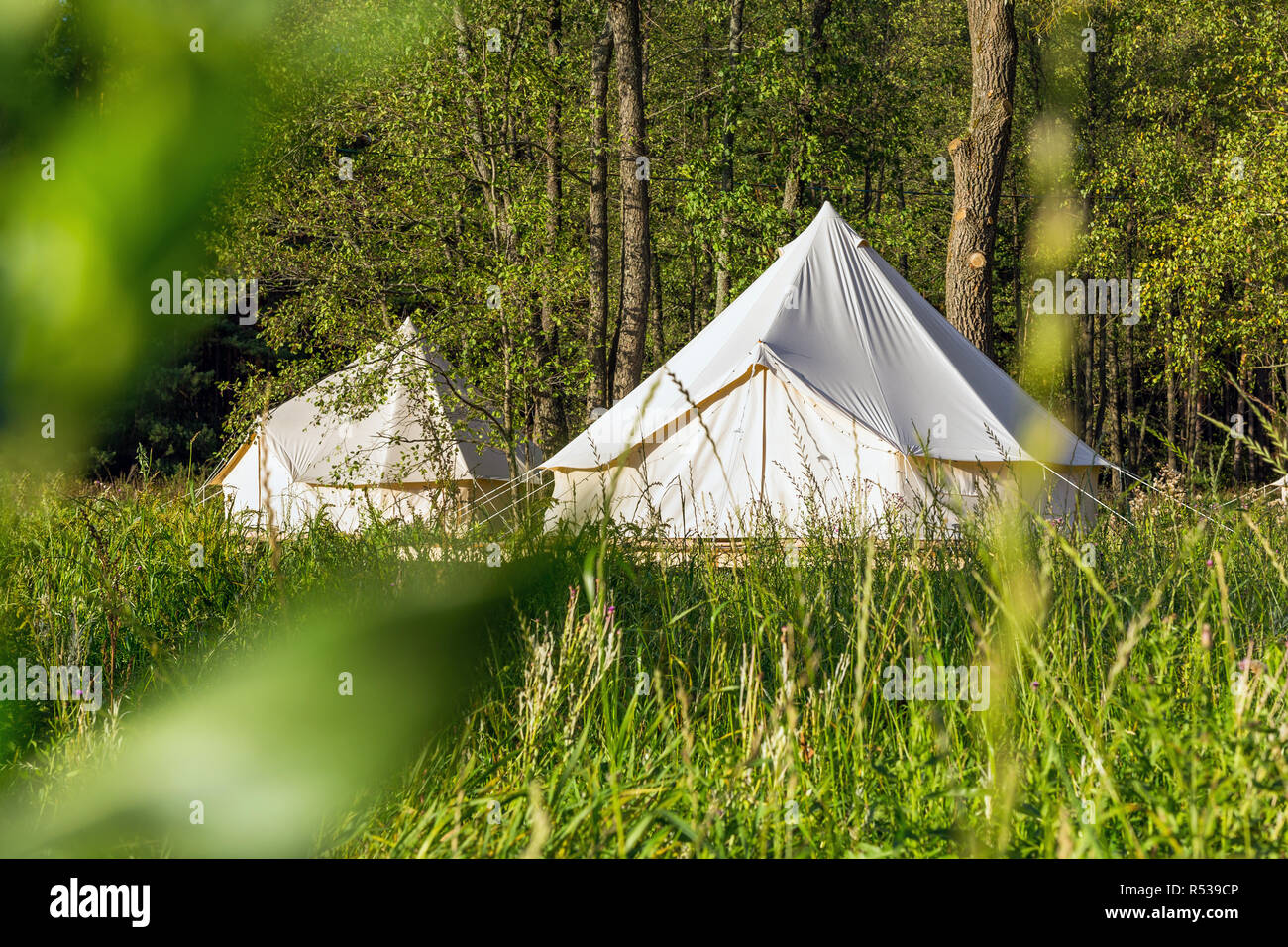 Bell tents outdoors at forest landscape Stock Photo