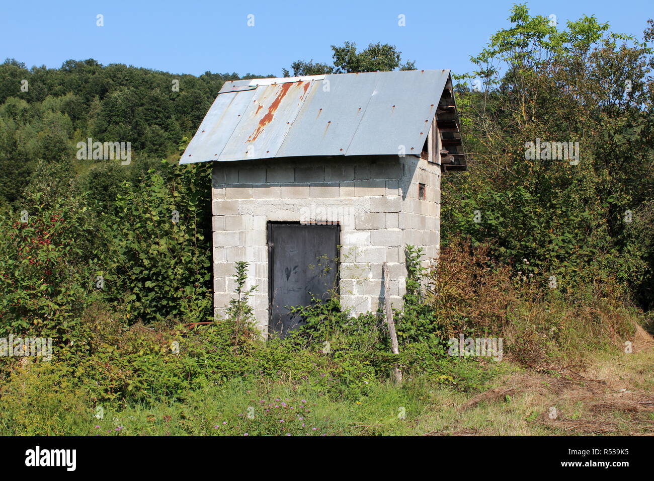 Outdoor garden tool shed made of large concrete building blocks with metal doors and roof surrounded with overgrown plants and forest vegetation Stock Photo