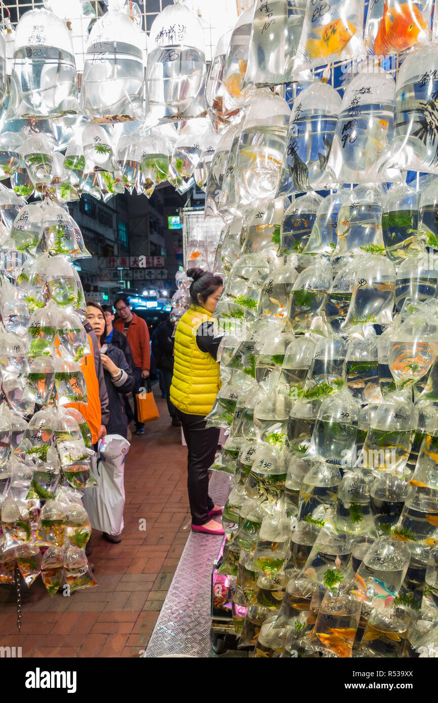 Pet shop in hong kong hi-res stock photography and images - Alamy