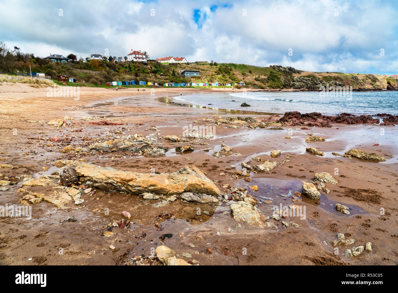 Coldingham Bay, Coastal Path, Scottish Borders, Scotland, UK Stock Photo Alamy