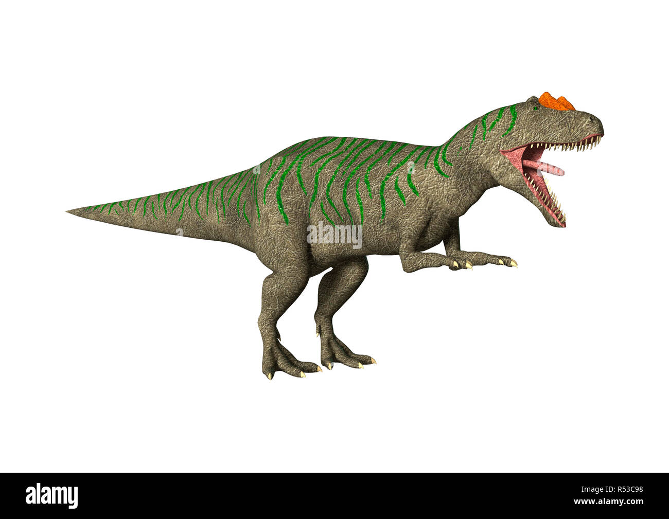 Dinosaur Pterodactyloidea Illustration Stock Illustration - Download Image  Now - Allosaurus, Ancient, Archaeology - iStock