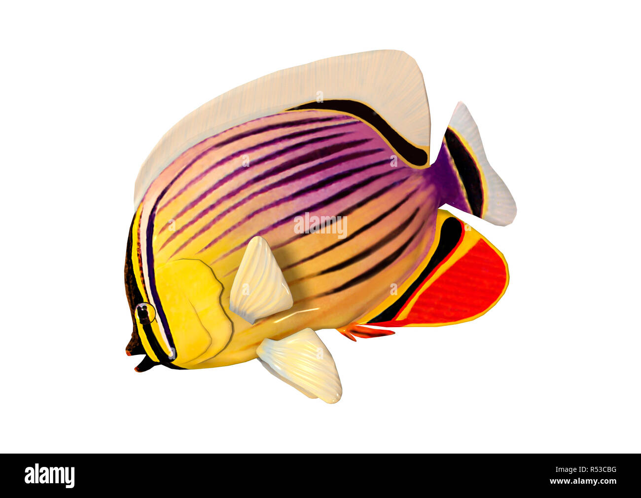 3D Rendering Redfin Butterflyfish on White Stock Photo Alamy