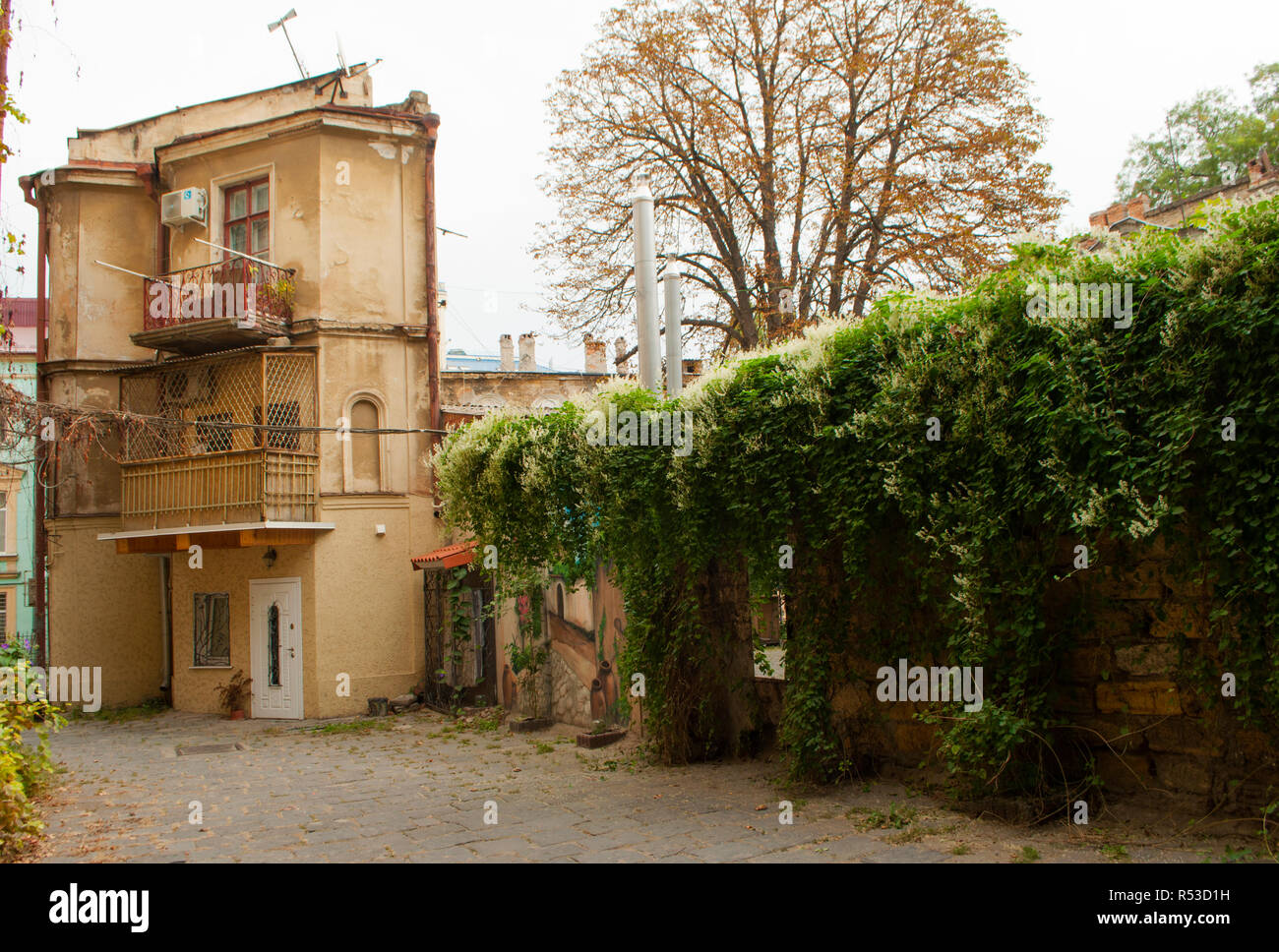 Old charming courtyard with green wall in Odessa, Ukraine. Stock Photo