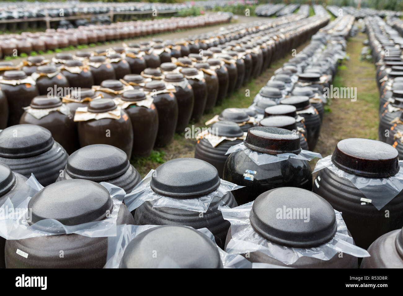Vinegar in Barrel Stock Photo Alamy