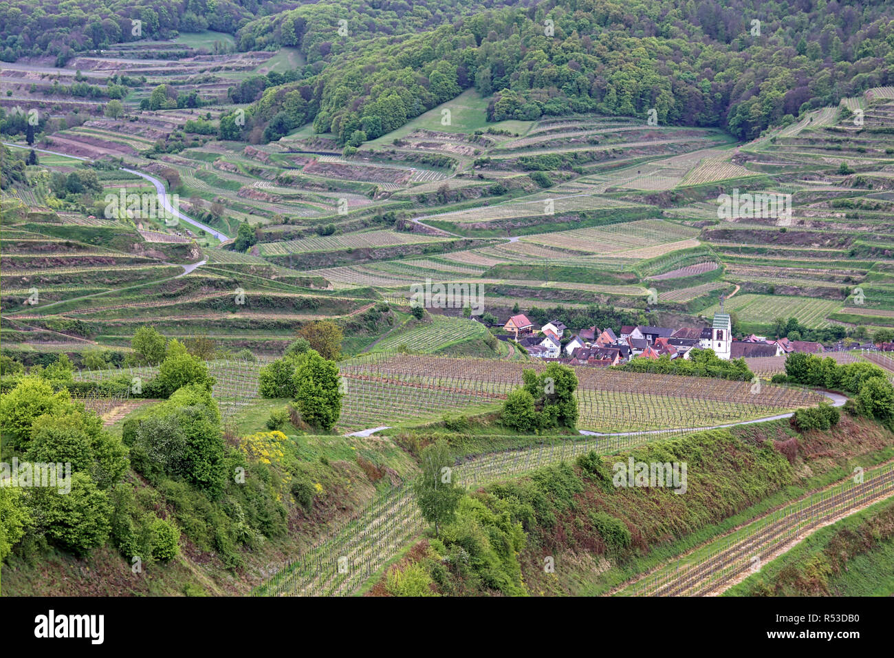 view of the wine terraces in the inner kaiserstuhl Stock Photo