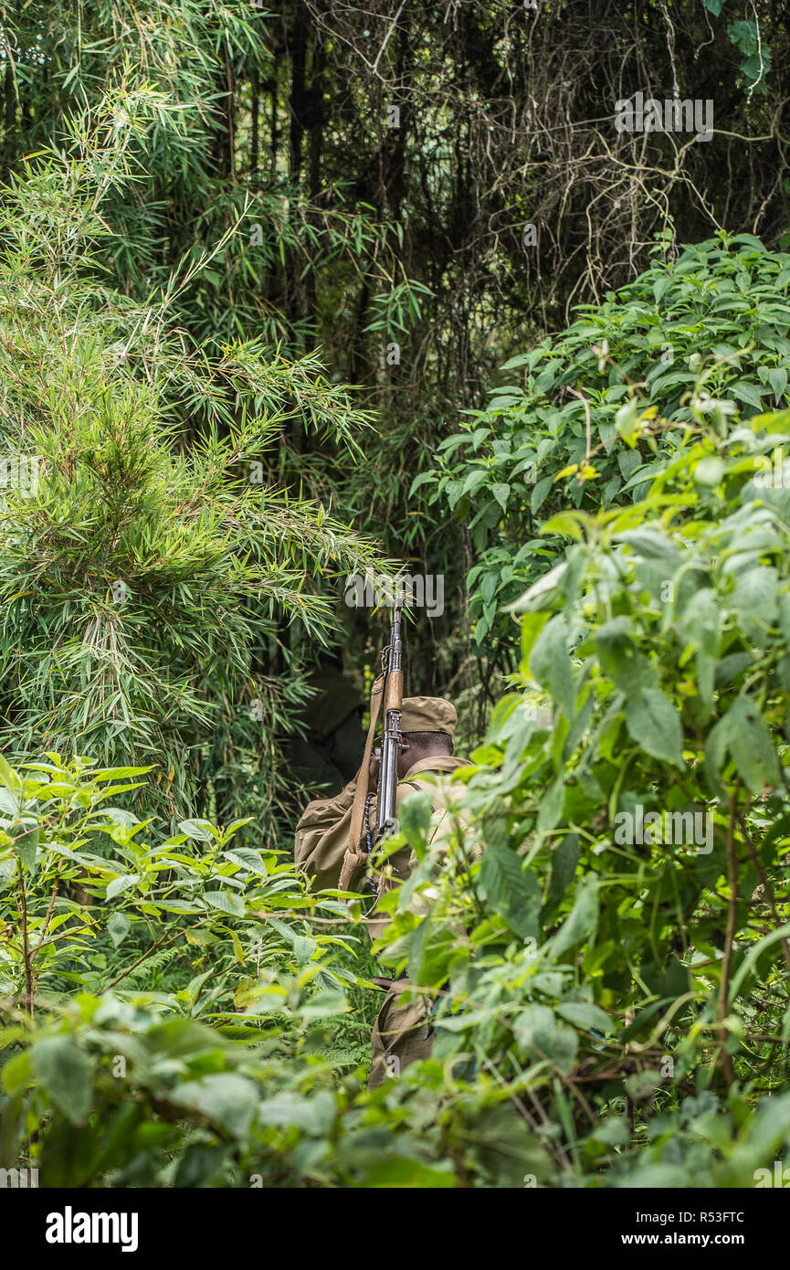 Soldier with Gun, Bwindi Impenetrable National Park, Uganda Stock Photo