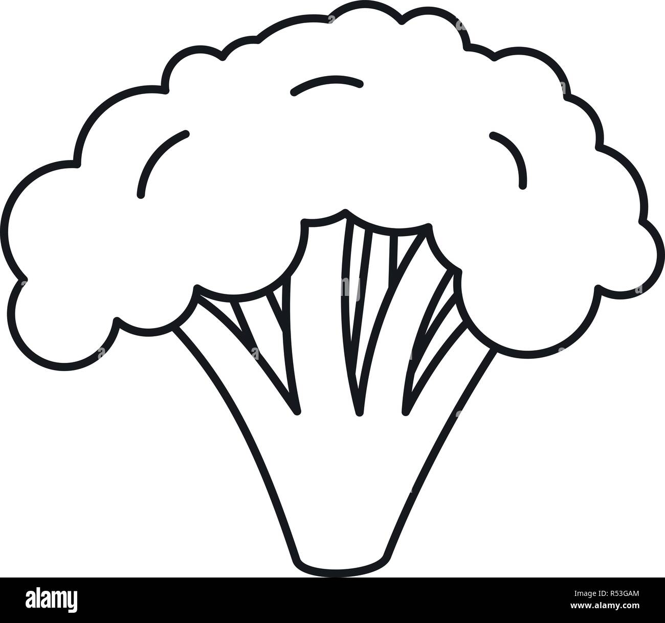 Broccoli icon. Outline broccoli vector icon for web design isolated on