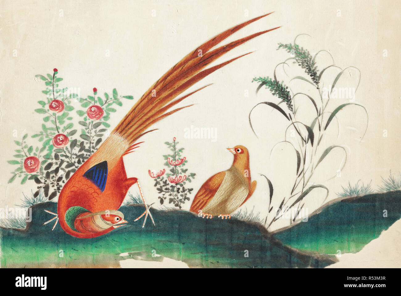 chinese vintage oriental birds illustration Stock Photo