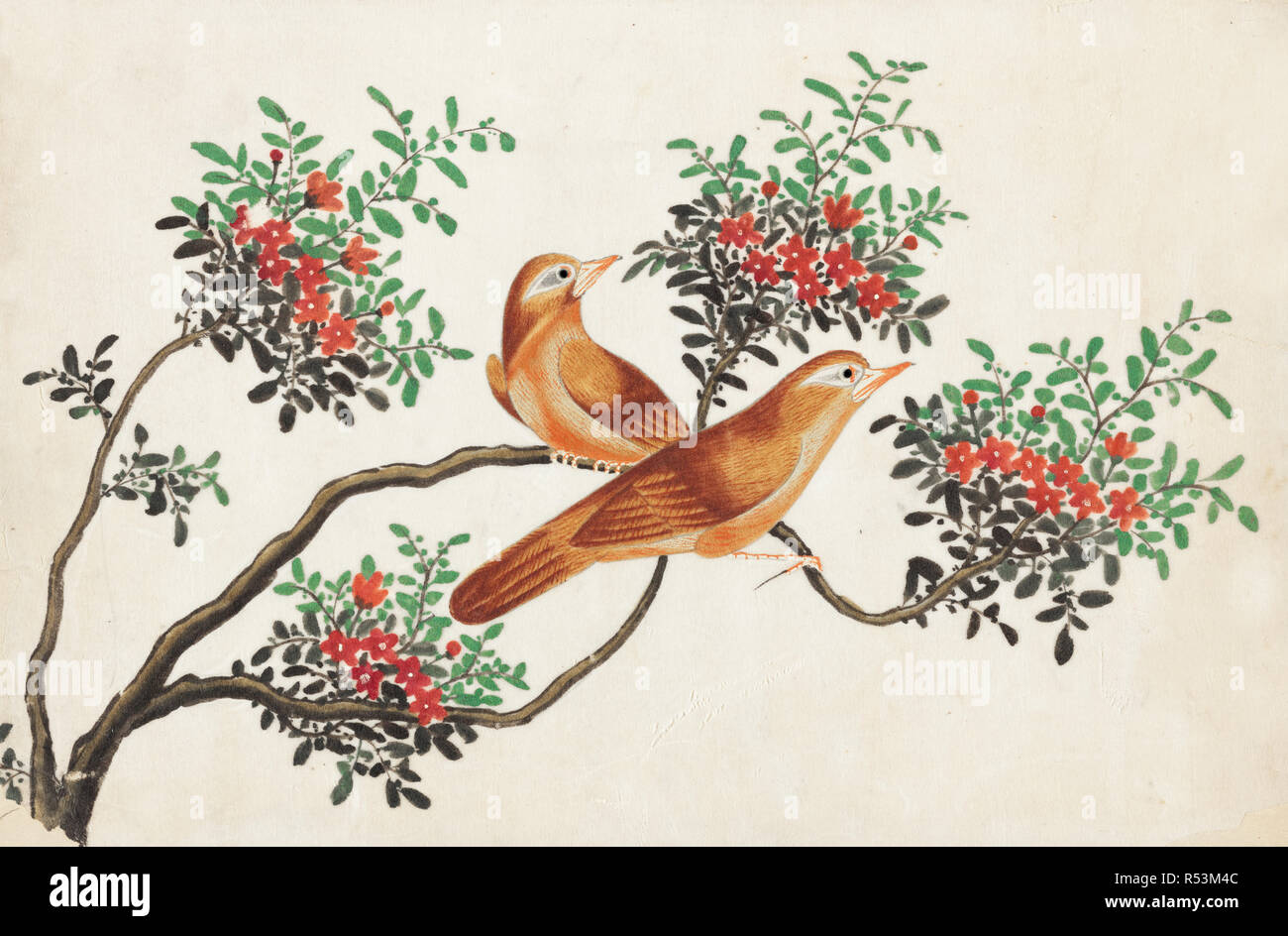 chinese vintage oriental birds illustration Stock Photo