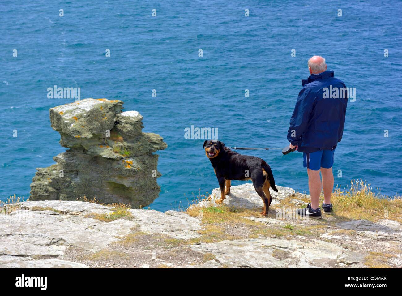 A man walking his rottweiler dog on the Tintagel island peninsula,Cornwall,England,UK Stock Photo