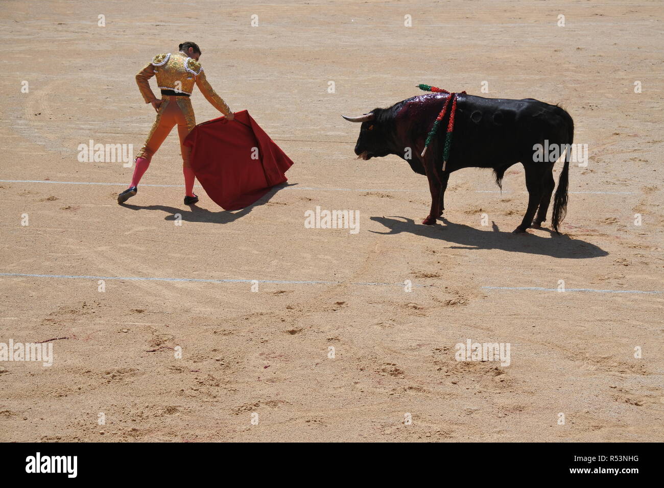 Corrida de Nimes en 2018, taureau et torero / Corrida of Nimes in 2019, bull and toreador Stock Photo