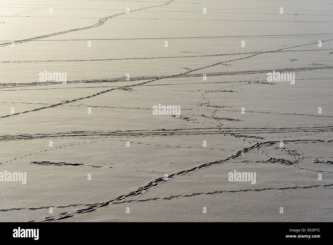 Human footprints in deep snow hi-res stock photography and images - Alamy