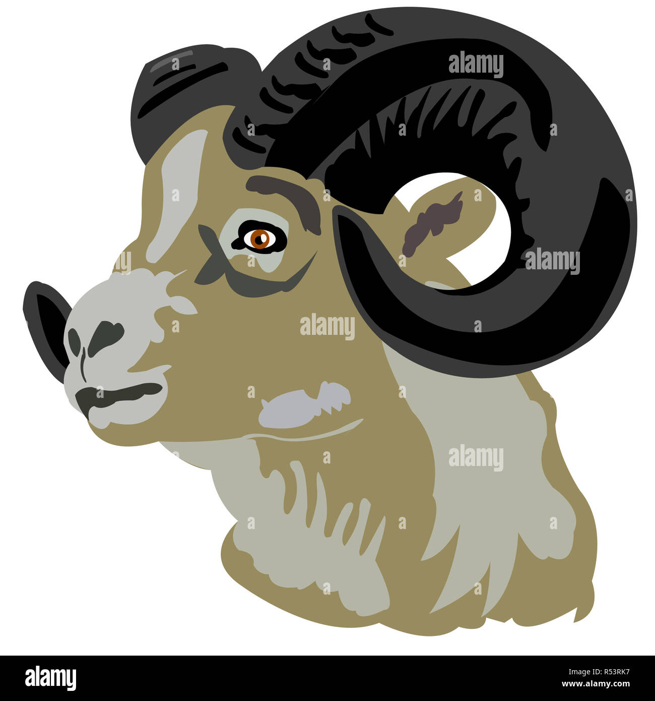 Head of the mountain ram Stock Photo - Alamy
