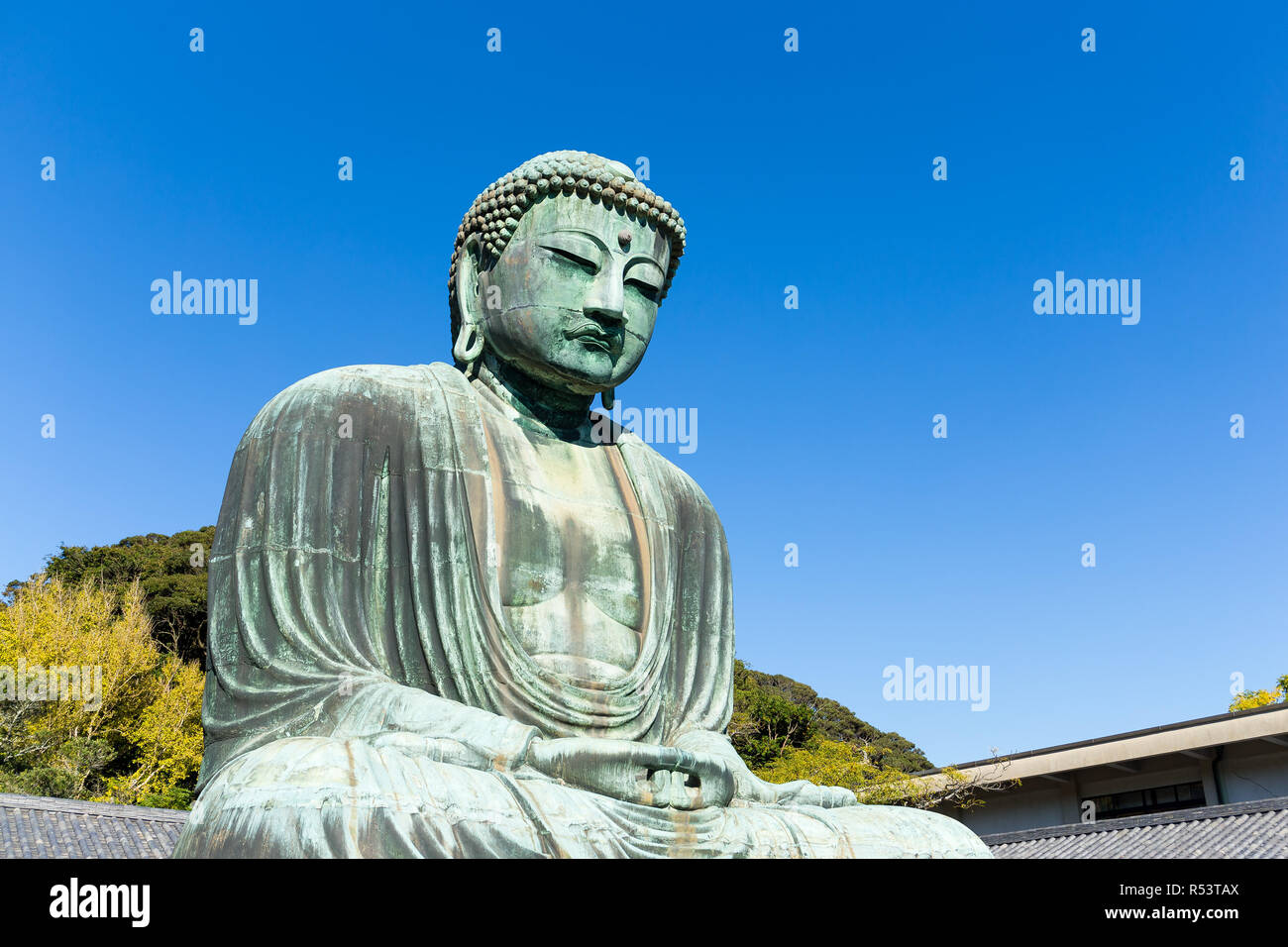 Giant Buddha in Japan Stock Photo Alamy