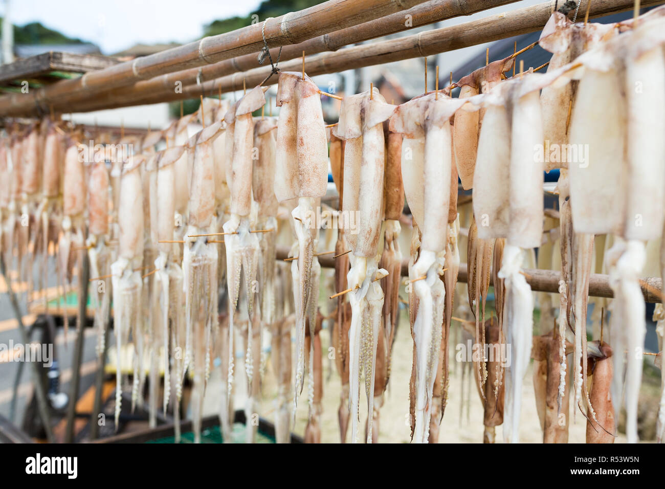 Dry squid Stock Photo Alamy