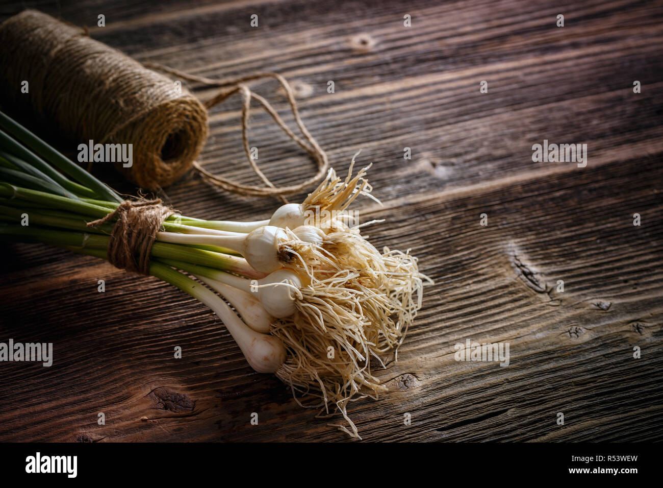 Green garlic leaves Stock Photo Alamy