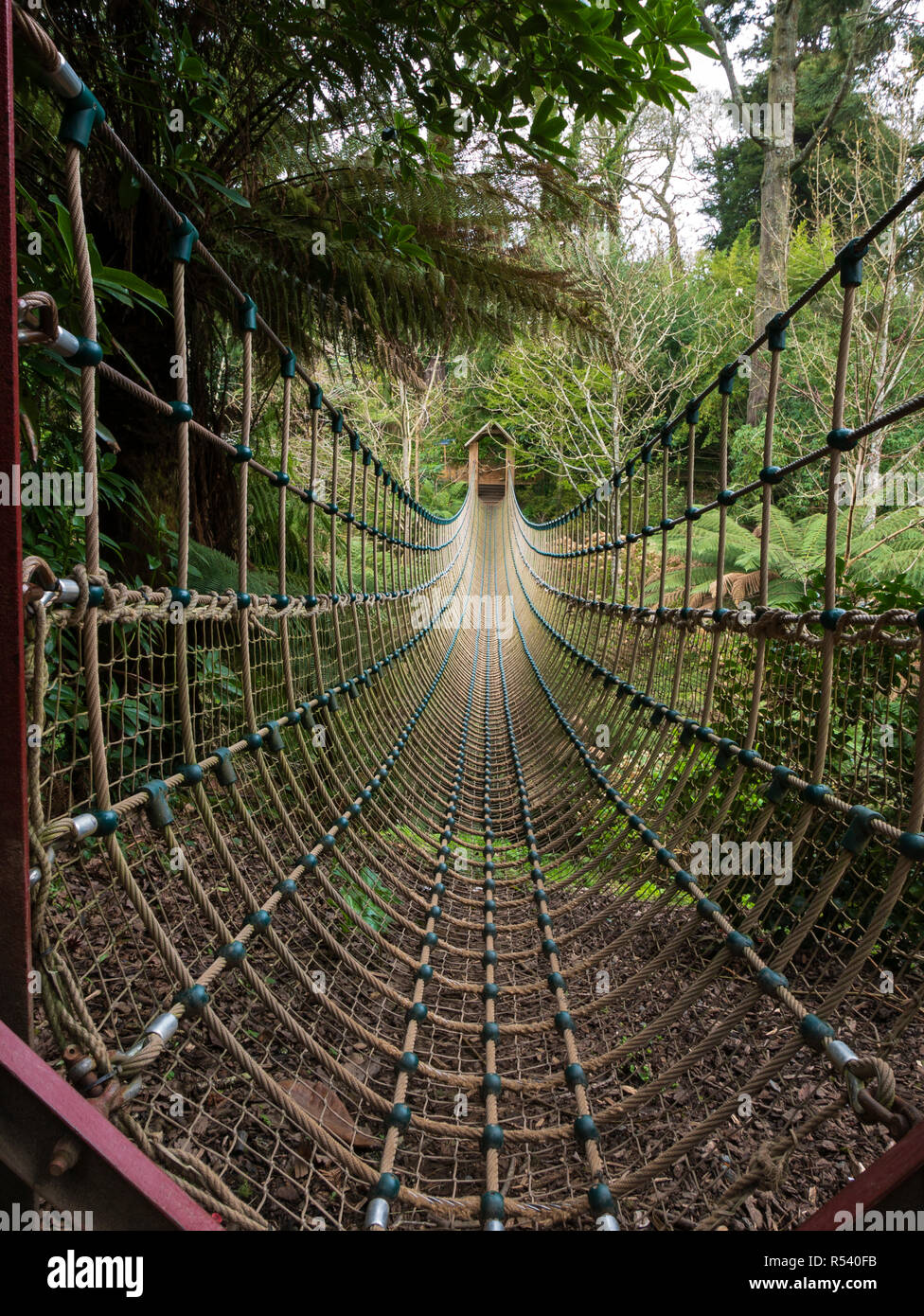 The Burma Rope Bridge, The Lost Gardens of Heligan, St Austell