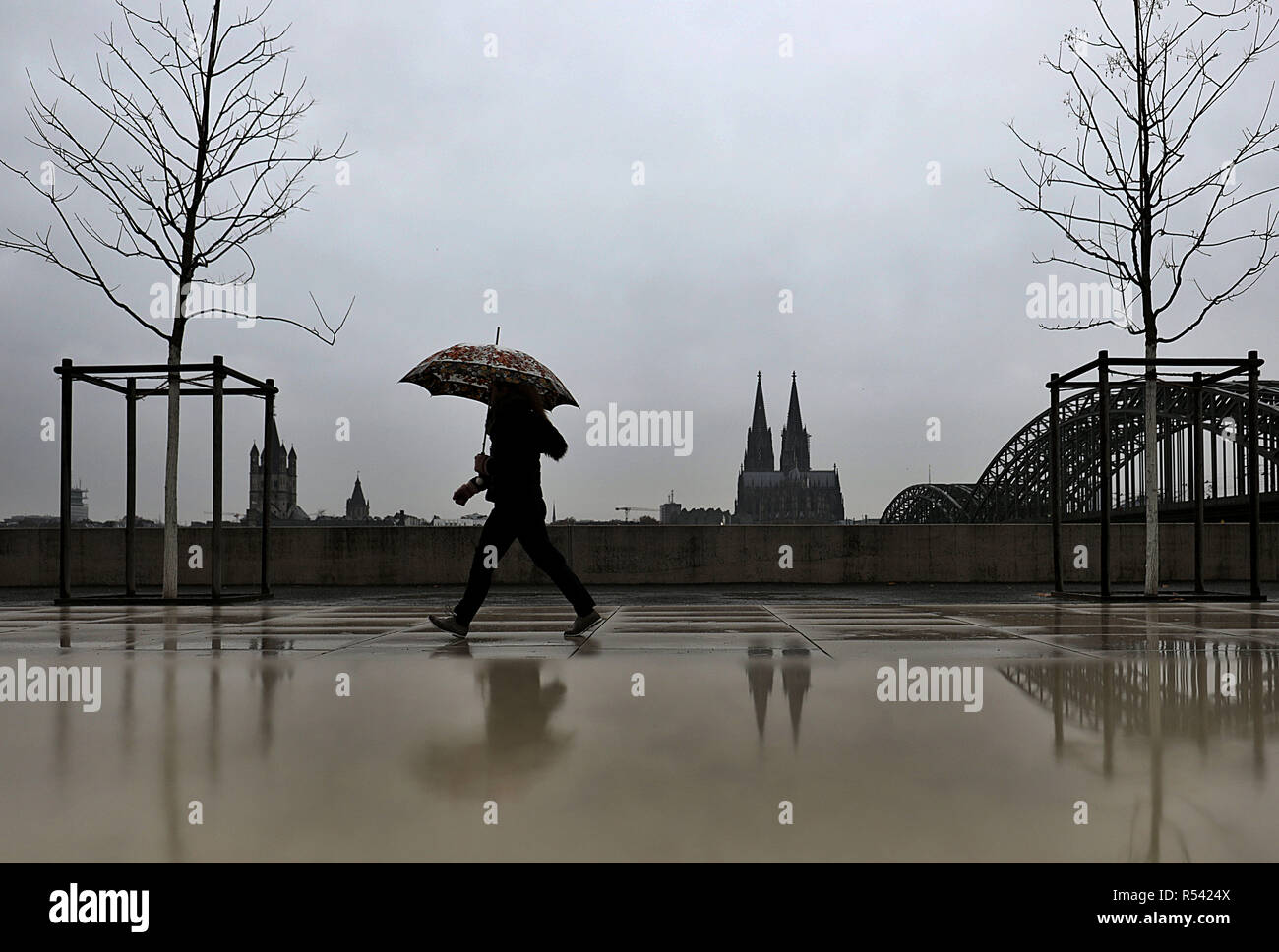 29 November 2018, North Rhine-Westphalia, Köln: A woman walks with her umbrella in the rain along the banks of the Rhine. Photo: Oliver Berg/dpa Stock Photo
