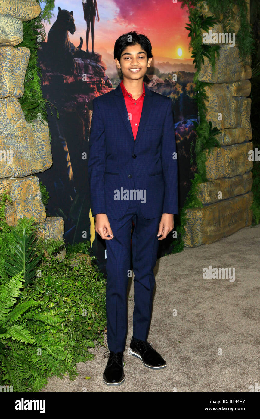 Los Angeles, USA. 28th Nov 2018. Rohan Chand attending the Netflix ...