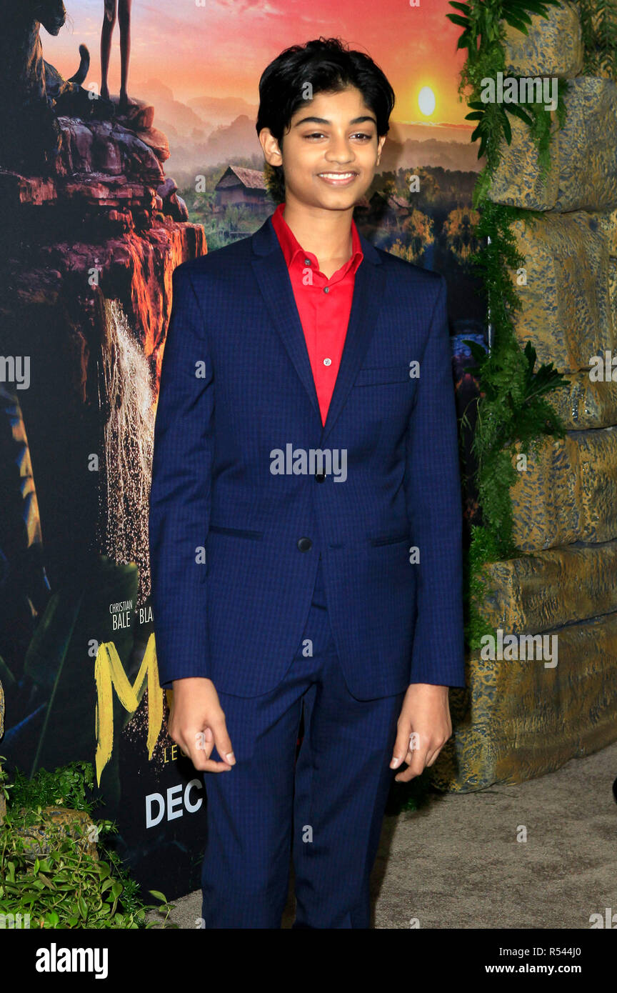 los-angeles-usa-28th-nov-2018-rohan-chand-attending-the-netflix