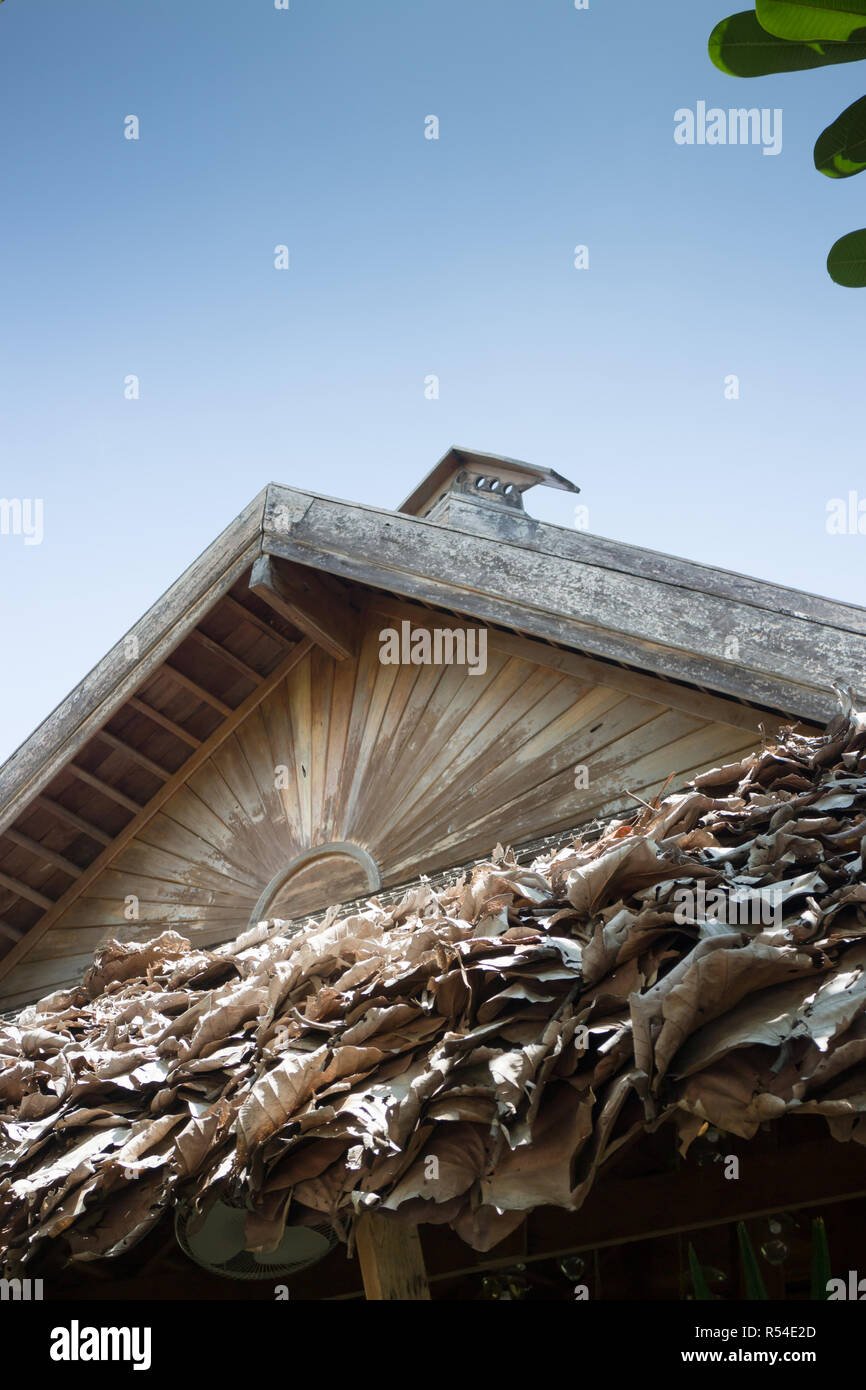 Traditional Architecture Of Dried Leaves Roof Stock Photo - Alamy