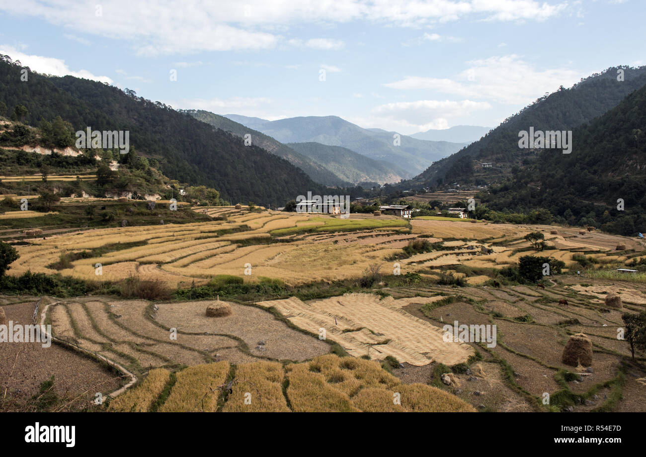 The Punakha Valley, Bhutan Stock Photo