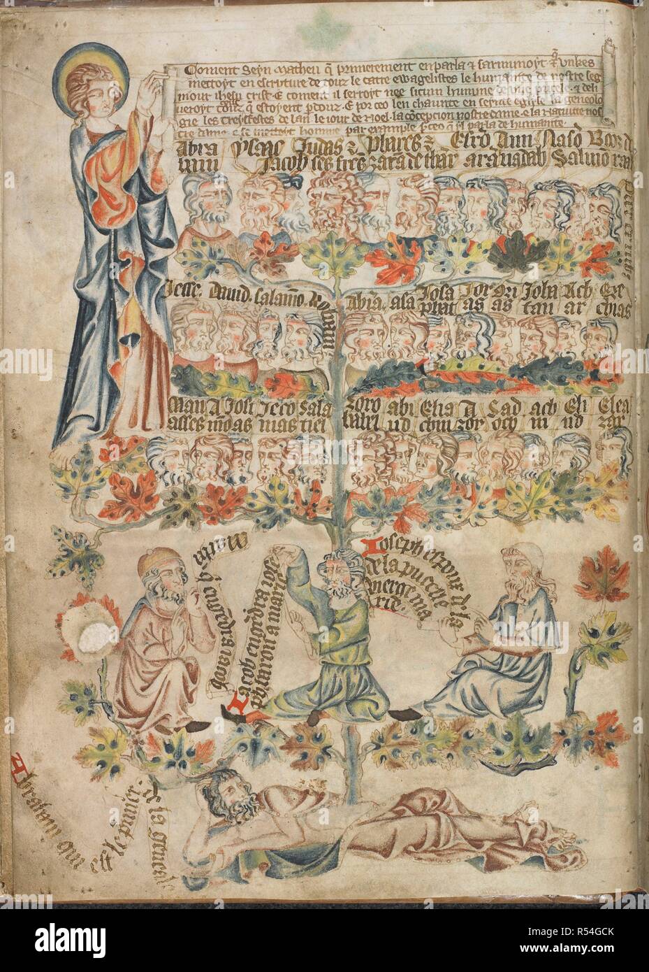 Jesse Tree showing the descent of Christ from Abraham, with St Matthew on the left holding a scroll and writing on it in cursive script. . Holkham Bible Picture Book. England, circa 1320-1330. Source: Add. 47682, f.10v. Stock Photo