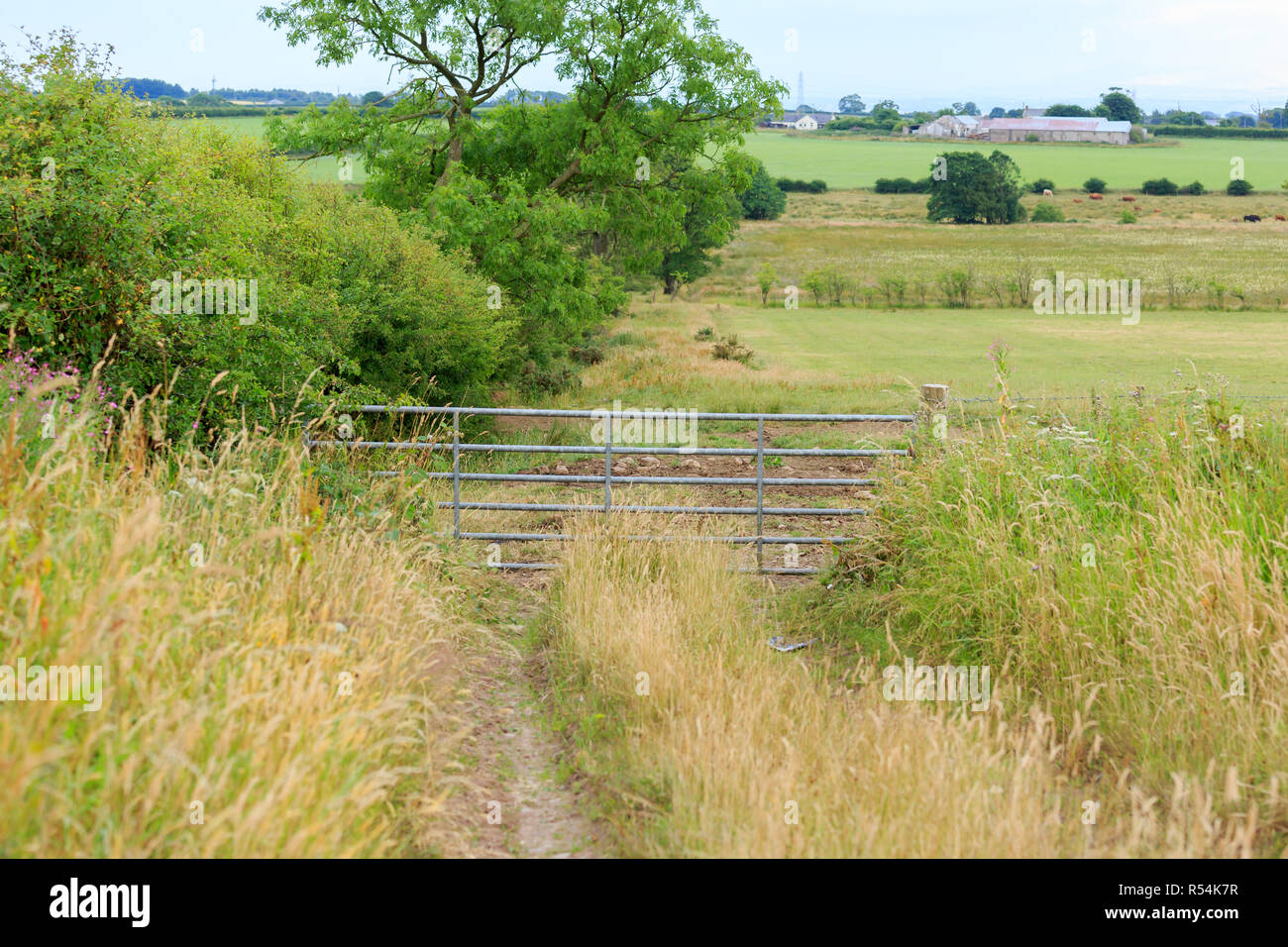 Farm gate at the end of an overgrown track Stock Photo