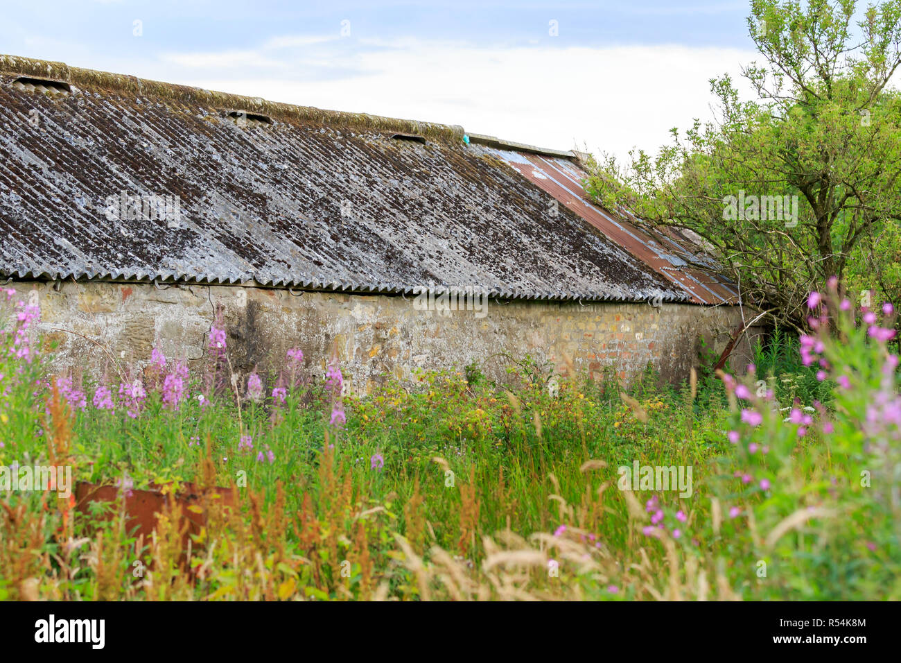 Old barn surrounded by wild flowers and long grasses Stock Photo