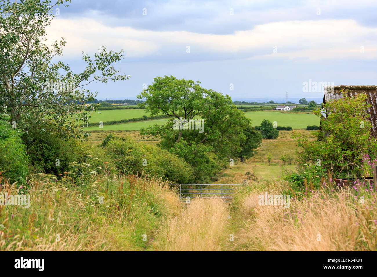 Farm gate at the end of an overgrown track Stock Photo