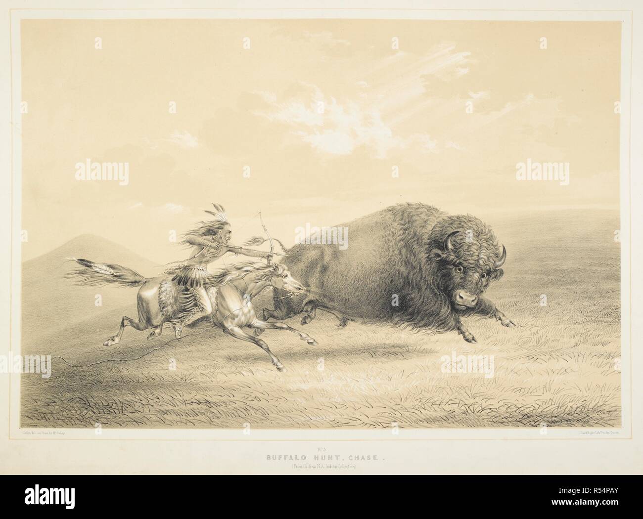 George Catlin Buffalo Hunt, plate 7 from Catlin's North American