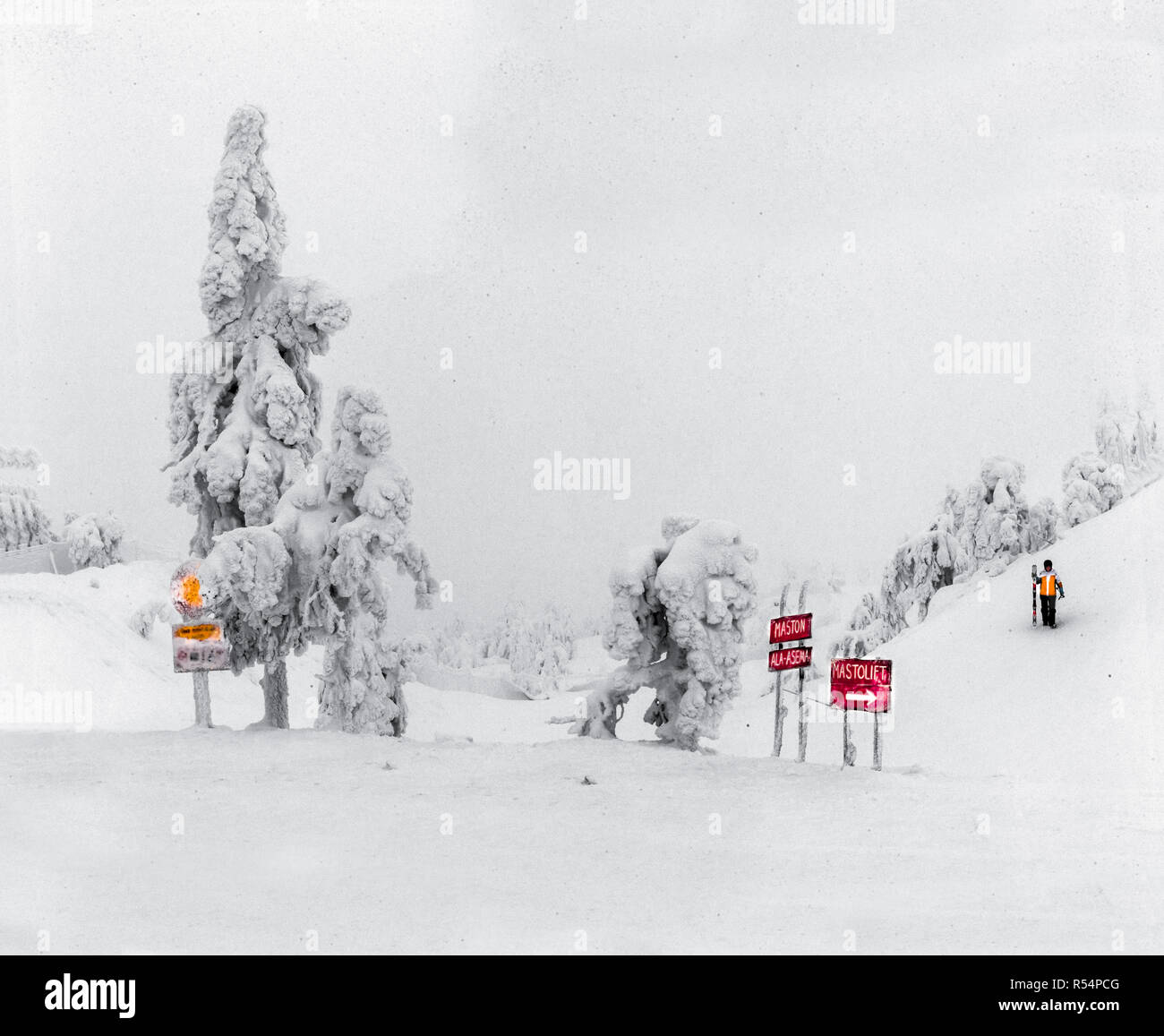 One of a series depicting scenes around Ruka in Finnish Lapland during a particularly heavy snowstorm. The snowstorm make almost black and white. Stock Photo