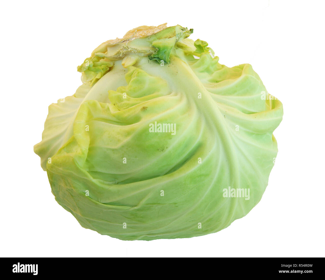 Cabbage on white Stock Photo - Alamy