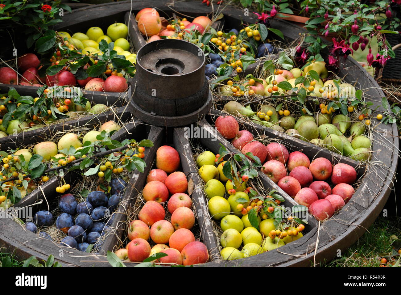 Vegetables and fruits in Herrenhausen Gardens Hanover Germany Stock