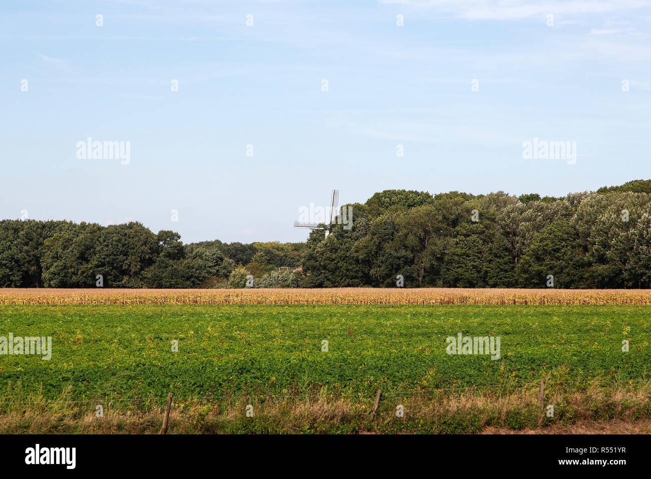 Typical agricultural landscape of Dutch province Limburg with forest and windmill in the distance Stock Photo