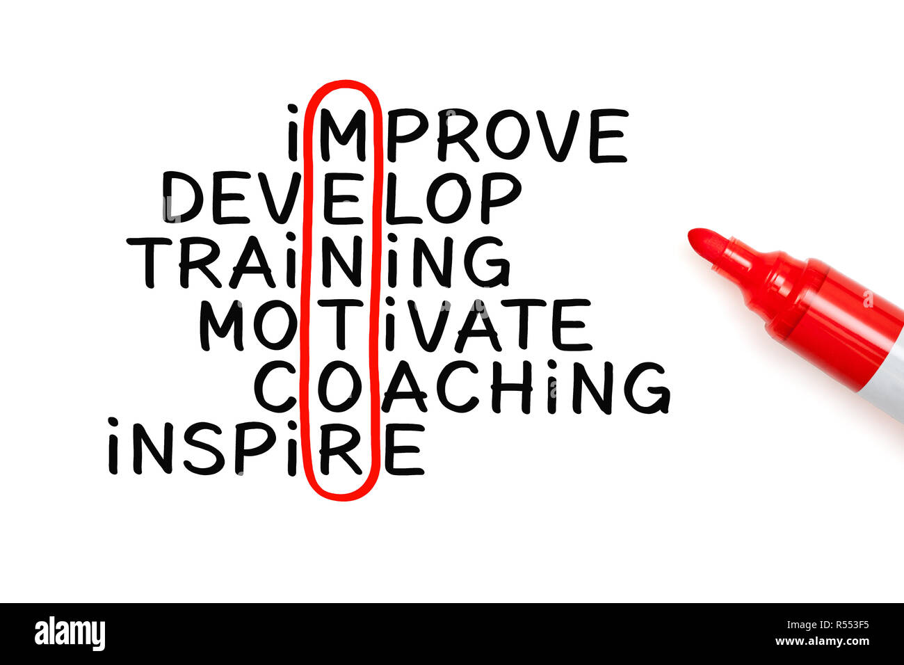 Mentoring crossword concept handwritten with marker on white paper