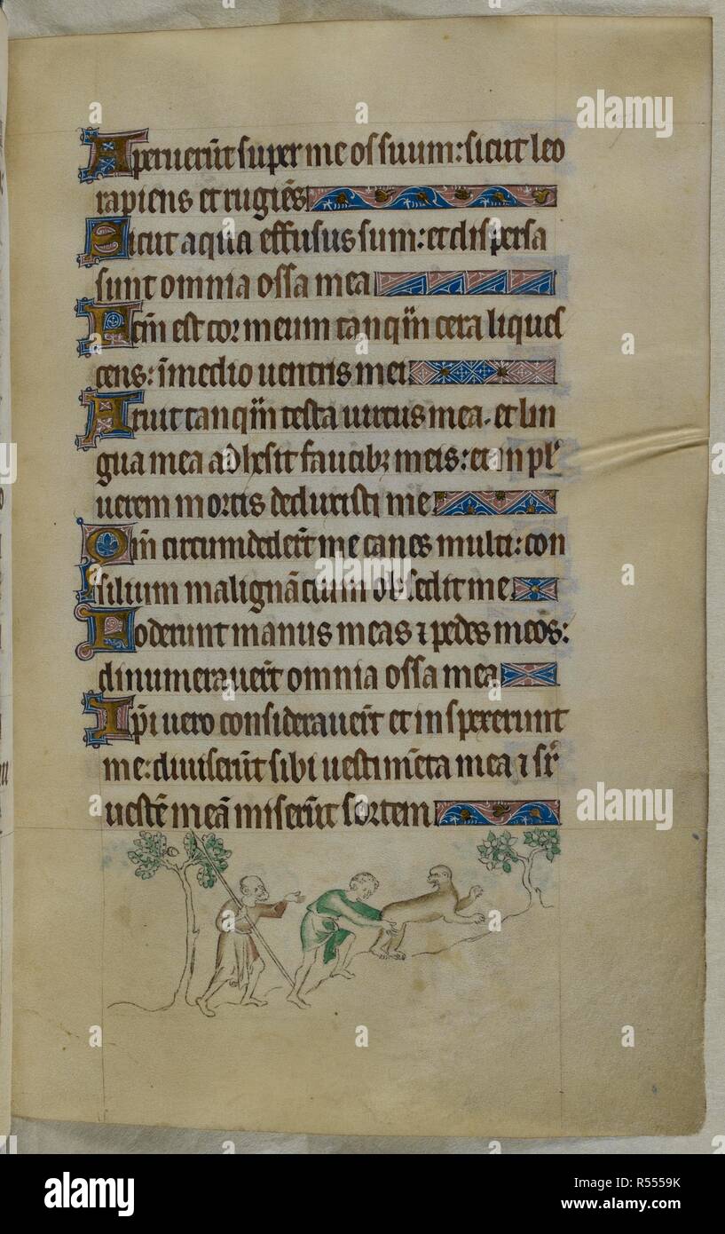 Bas-de-page scene of two hunters trying to catch an ape. Psalter ('The Queen Mary Psalter'). England (London/Westminster or East Anglia?); between 1310 and 1320. Source: Royal 2 B. VII, f.107. Language: Latin, with French image captions. Stock Photo