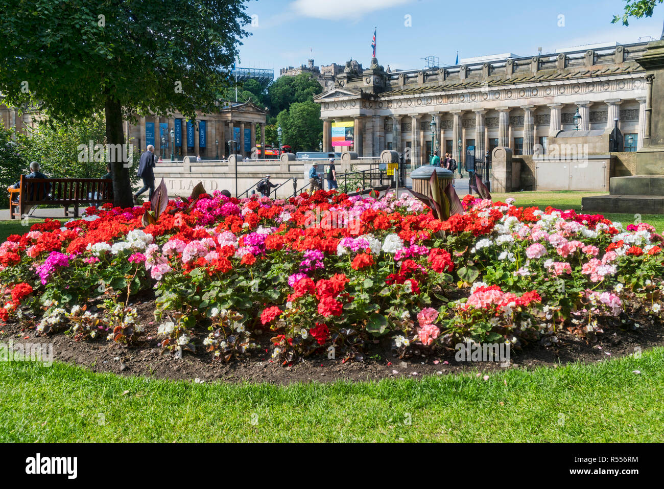 Flower princes hires stock photography and images Alamy
