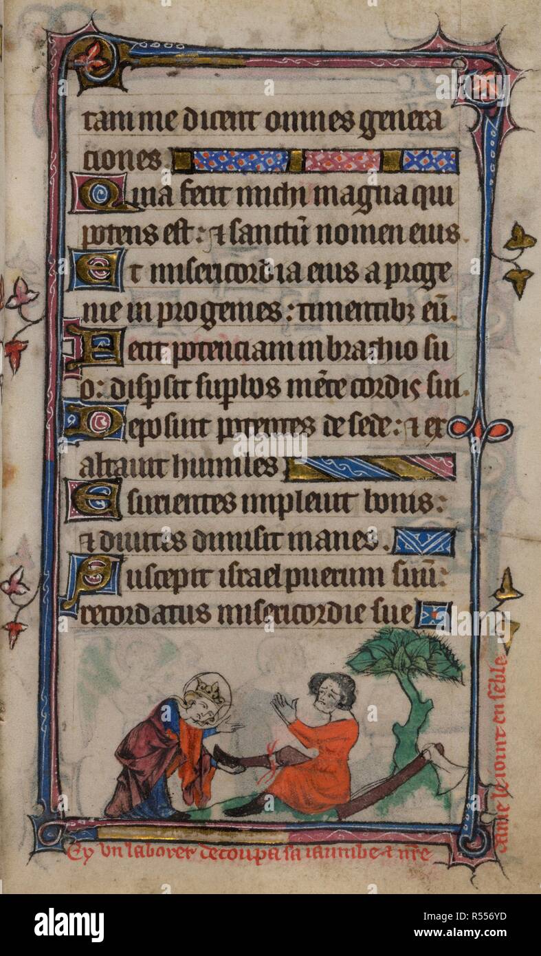 Bas-de-page scene of the Virgin Mary healing and attaching the severed limb of a woodsman who had chopped off his own leg, with a caption reading, â€˜Cy un laborer decoupa sa iaumbe et n[ost]re dame le ioint ense[m]bleâ€™ . Book of Hours, Use of Sarum ('The Taymouth Hours'). England, S. E.? (London?); 2nd quarter of the 14th century. Source: Yates Thompson 13, f.156. Language: Latin and French. Stock Photo