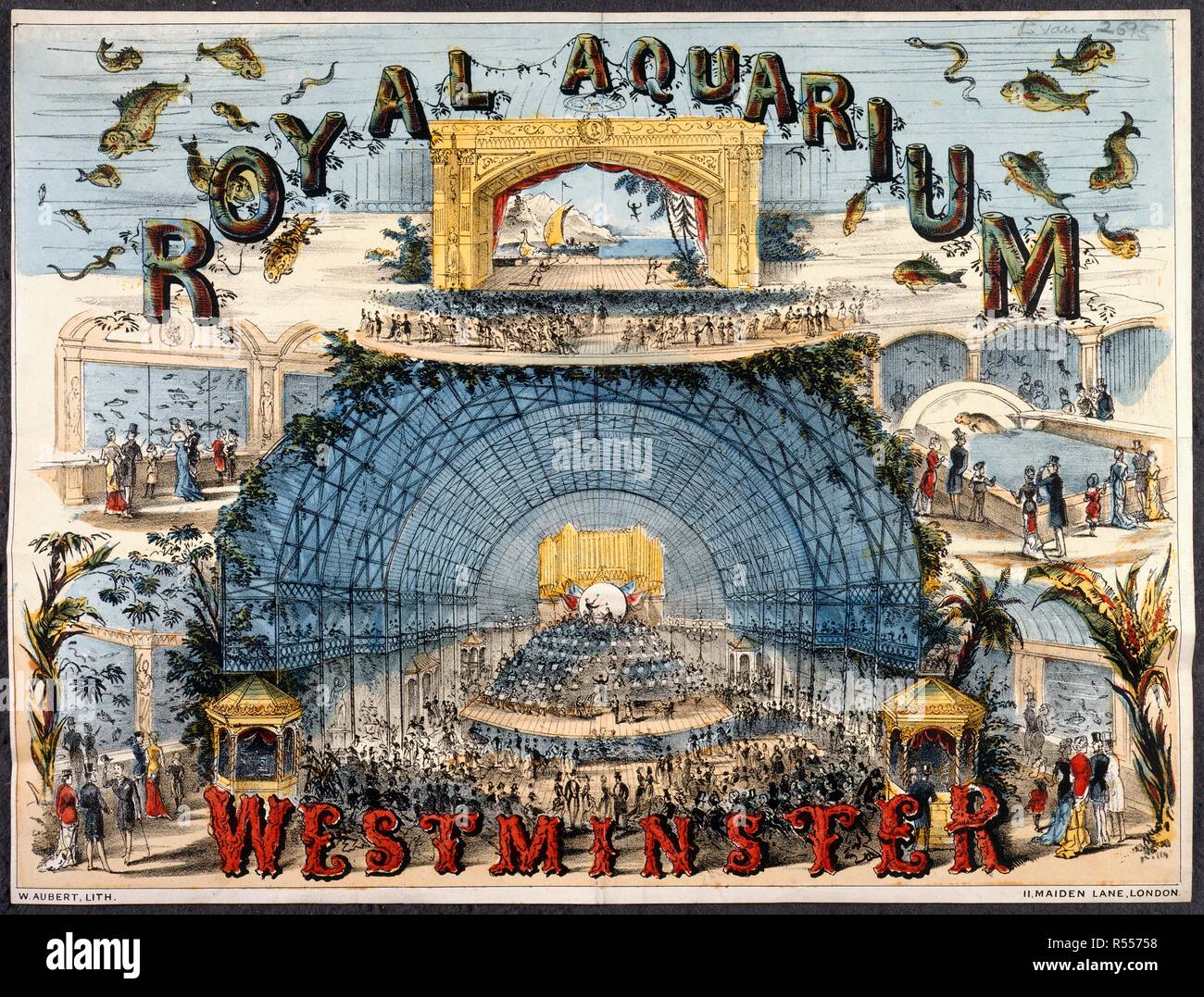Royal Aquarium, Westminster. With a lithographed illustration. A collection of pamphlets, handbills, and miscellaneous printed matter relating to Victorian entertainment and everyday life. London, 1881. Poster: 34 x 44 cm. Source: EVAN.2695. Author: Evanion, Henry. Stock Photo