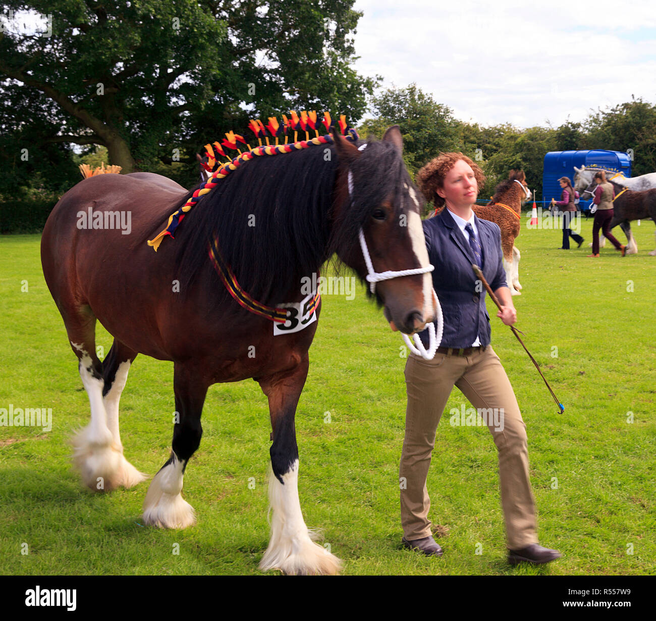 Shire horse handlers hires stock photography and images Alamy